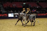 Quadrille - 00692